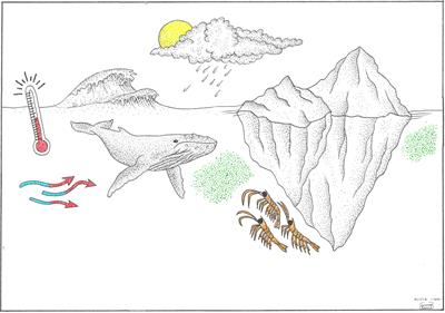 Editorial: Whales and climate